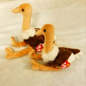 Original ty beanie baby bird stretch